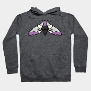 demisexual moth Hoodie